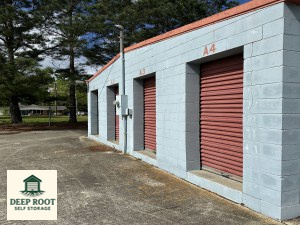 Storage Units Near Irvington Cost